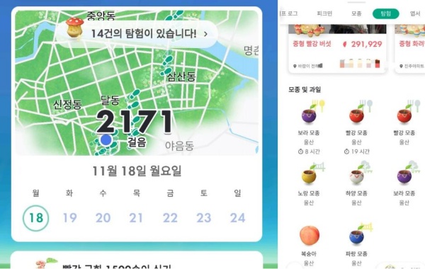 피크민 버섯 찾기